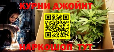 молекула духа Партизанск